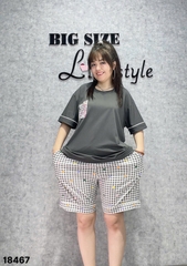 18467 - Ss.Túi Cin CR 00387