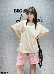 S-0020--18467 Ss.Túi Cin CR 00388- Hồng