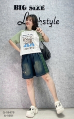 S-0020--18479 QS sọc 00352