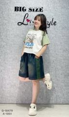 S-0020--18479 QS sọc 00352