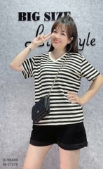 18485- A.Sọc cổ tim 00288