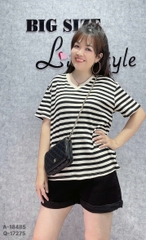 18485- A.Sọc cổ tim 00288