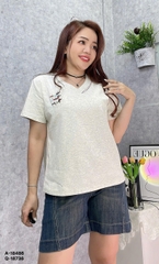 S-0020--18486 A.Sọc 3 Cho- 00288