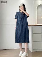 18488 Đầm Jean cổ V nút 00400