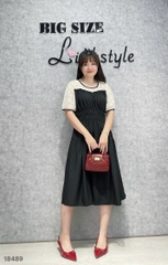 S-0020- 18489- Đầm vai Ren nhúng 00400