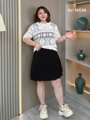 S-0020--18536-Qv x.li 00296