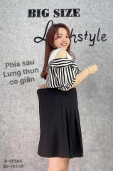 S-0020--18536-Qv x.li 00296