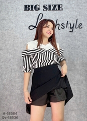 S-0020--18536-Qv x.li 00296