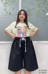 S-0020--18537- QS LT 00336