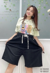 S-0020--18537- QS LT 00336