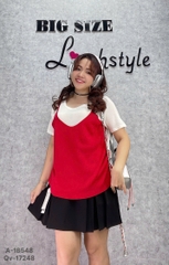 S-0020--18548- A.Len 2d 00296