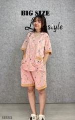 S-0020--18553 ss.Pi 00388 - HỒNG