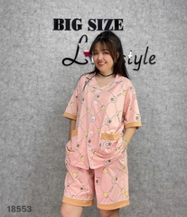 S-0020--18553 ss.Pi 00388 - HỒNG