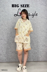 S-0020--18553 ss.Pi 00388-KEM