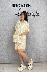 S-0020--18553 ss.Pi 00388-KEM