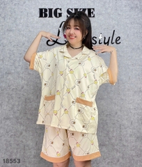 S-0020--18553 ss.Pi 00388-KEM