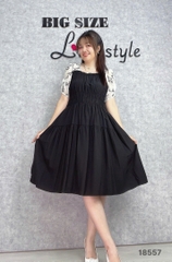 S-0020--18557- Đ.nhúng 00400