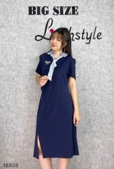 S-0020--18558- Đ.Nơ 00460