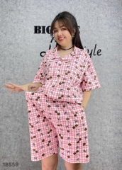 S-0020- 18559- SS.Pi CR 00388