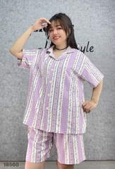 S-0020- 18560- SS.Pi  Sọc 00388