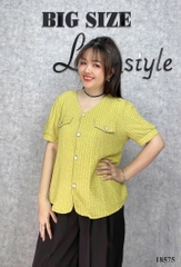 S-0020--18575- A.2 túi 00296