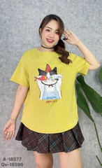 S-0020--18577- A.Ca- 00248