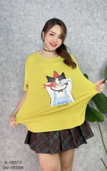 S-0020--18577- A.Ca- 00248