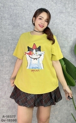 S-0020--18577- A.Ca- 00248