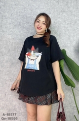 S-0020--18577- A.Ca- 00248