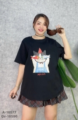 S-0020--18577- A.Ca- 00248