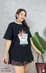 S-0020--18577- A.Ca- 00248