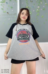 S-0020- 18578- A.Ráp chữ 00256