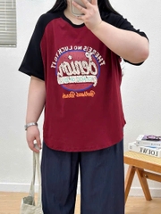 S-0020- 18578- A.Ráp chữ 00256