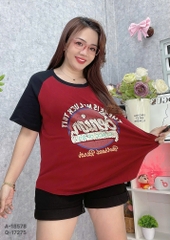 S-30- 18578- A.Ráp chữ 00245