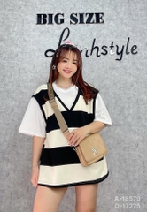 S-0020- 18579- A.BC sọc 00288