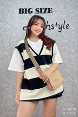 S-0020- 18579- A.BC sọc 00288