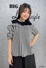 S-0020--18584- A.R2V 00280