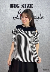 S-0020--18584- A.R2V 00280