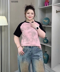 S-0020--18586- A.Ráp chữ 00248