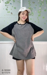 S-0020--18586- A.Ráp chữ 00248