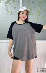 S-0020--18586- A.Ráp chữ 00248