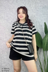 S-0020--18636- A.Sọc Pan..da- 00288