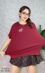 S-0020--18638- A.Ngua logo 00248