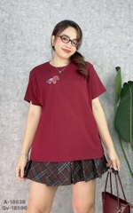 S-0020--18638- A.Ngua logo 00248