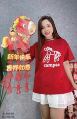 S-0020--18639- Ngua TR 00296