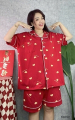 S-0020--18652-Ss.Pi 00412