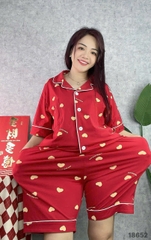 S-0020--18652-Ss.Pi 00412