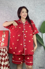 S-0020--18652-Ss.Pi 00412