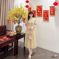 S-0020--18657- D.nhúng hoa 00428