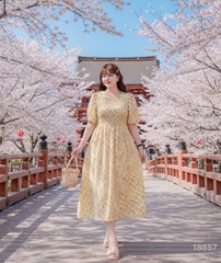 S-0020--18657- D.nhúng hoa 00428